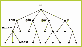 Estructura DNS