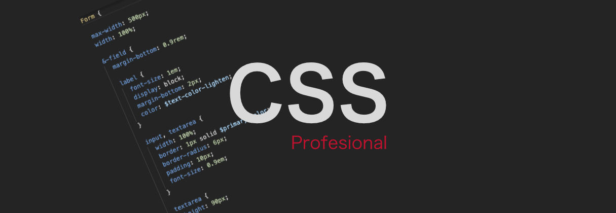 CSS Profesional Todo Lo Que Necesitas Saber Desarrollarlo | Blog De Arsys